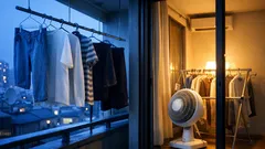 冬の洗濯が乾かない原因は温度だった 夜まで外干しが逆効果な理由と対策